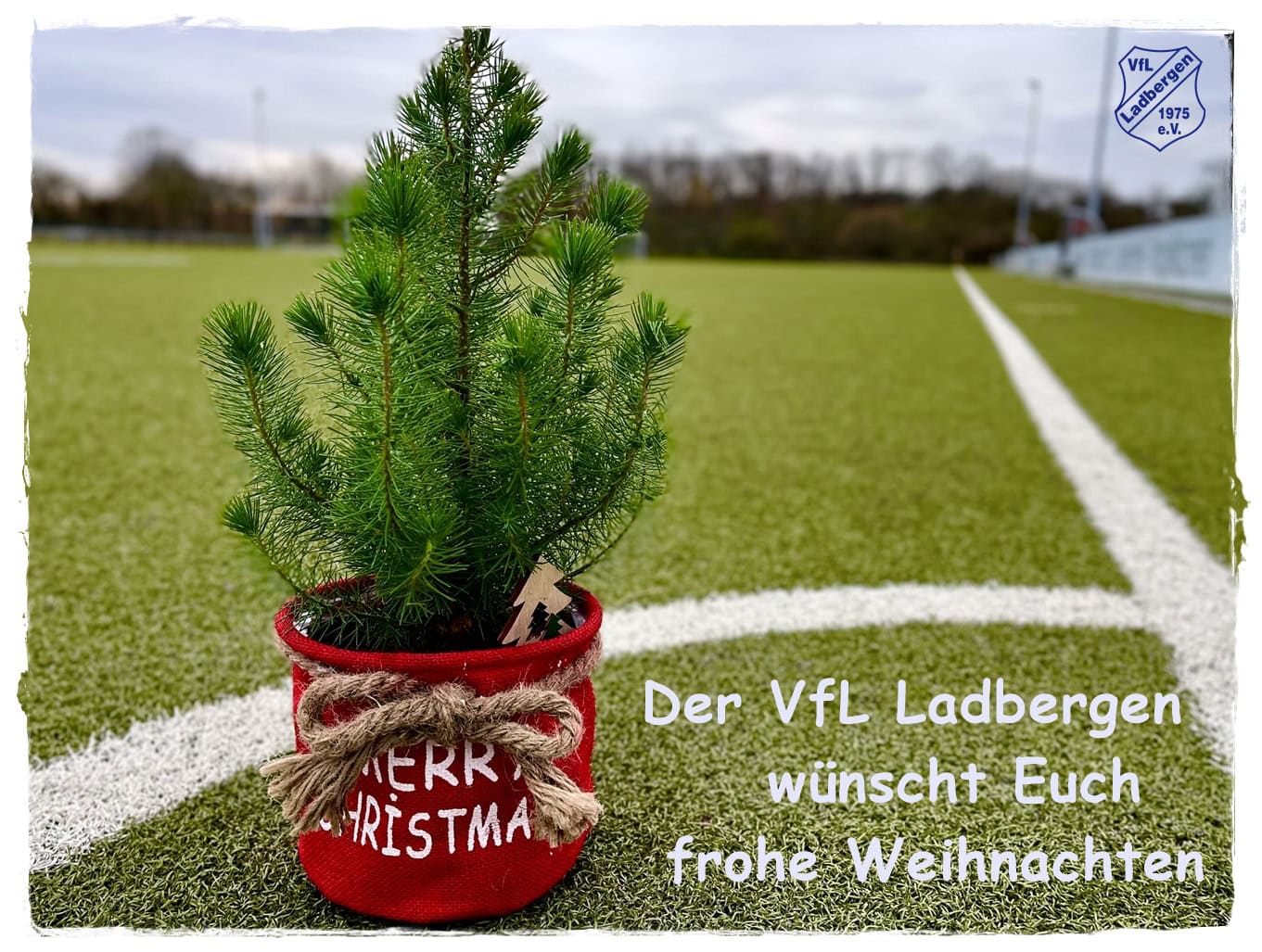 Ein kleiner Weihnachtsbaum auf einem Fußballfeld mit der Aufschrift „Merry Christmas“ in rot.